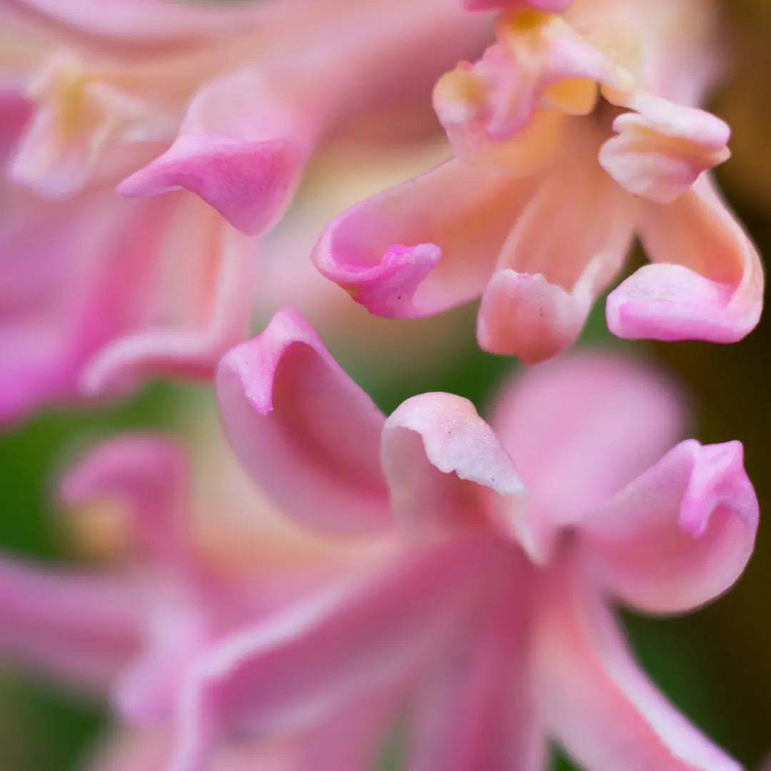 Glass Natural Soy Wax Candle